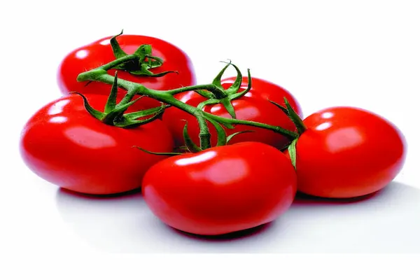 خرید بهترین انواع گوجه فرنگی با قیمت عالی