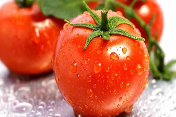 خرید بهترین انواع گوجه فرنگی با قیمت عالی