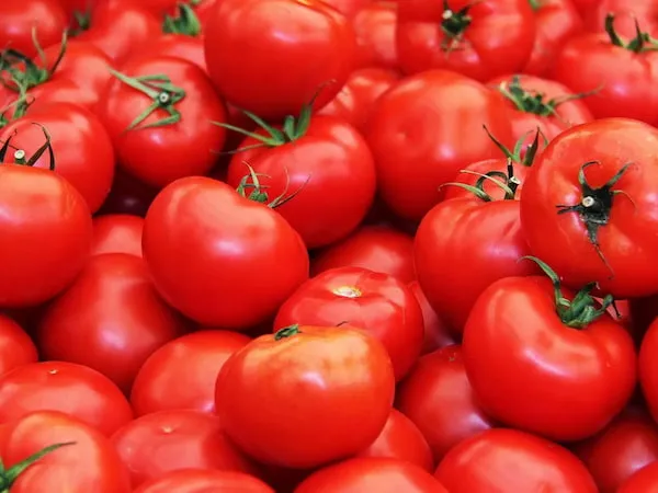 خرید بهترین انواع گوجه فرنگی با قیمت عالی